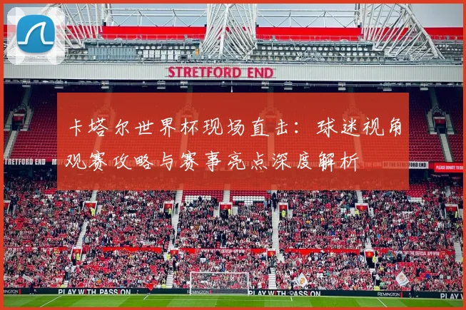 卡塔尔世界杯现场直击：球迷视角观赛攻略与赛事亮点深度解析